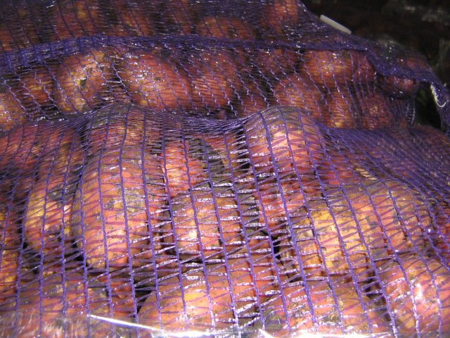 Картофель сорт Розара-8,50 руб.