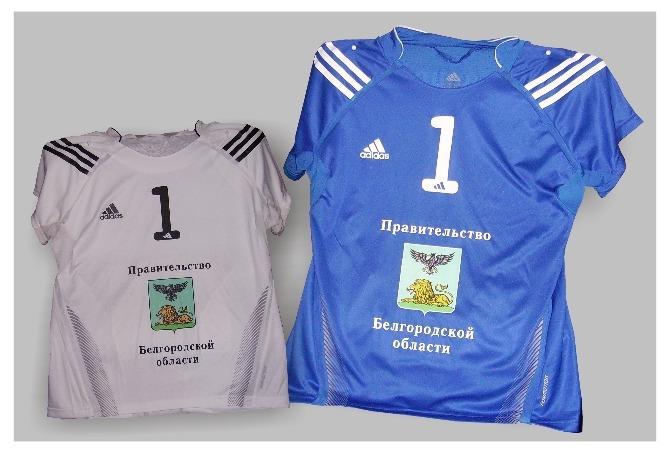 Печать цветного изображения на футболках