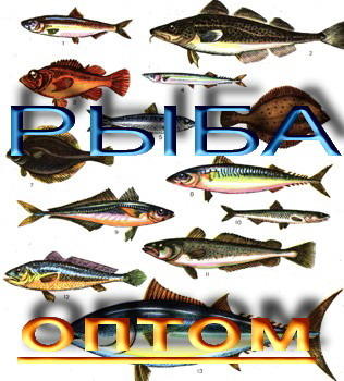 мороженая, солёная, вяленая, свежая рыба крупным оптом хамса бычок тюлька мороженая, солёная, вяленая, свежая рыба крупным оптом хамса бычок тюлька