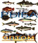 мороженая, солёная, вяленая, свежая рыба крупным оптом хамса бычок тюлька