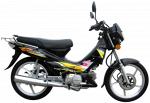 мотоциклы SHINERAY, XY110-6