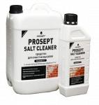 Удалитель высолов с минеральных поверхностей  PROSEPT SALT CLEANER -  концентрат 1:2, 5 литров