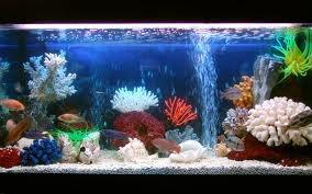 Аксессуары аквариумные