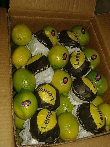 Первоклассные лимоны оптом из Египта.