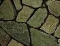 камень природный плитняк златолит серо-зеленый перламутр рваный
