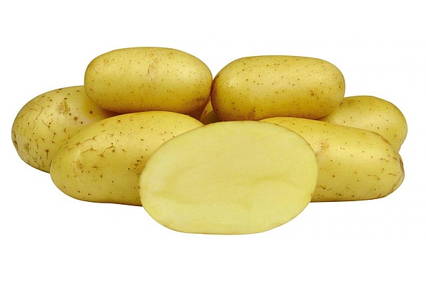 Картофель оптом сорта 