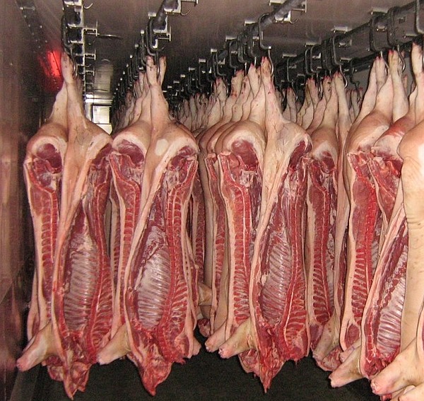 Мясо свинины оптом